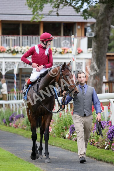 yr24092021r5-31 - Race 5 3.50pm William Hill Leading On Course Bookmaker Stakes