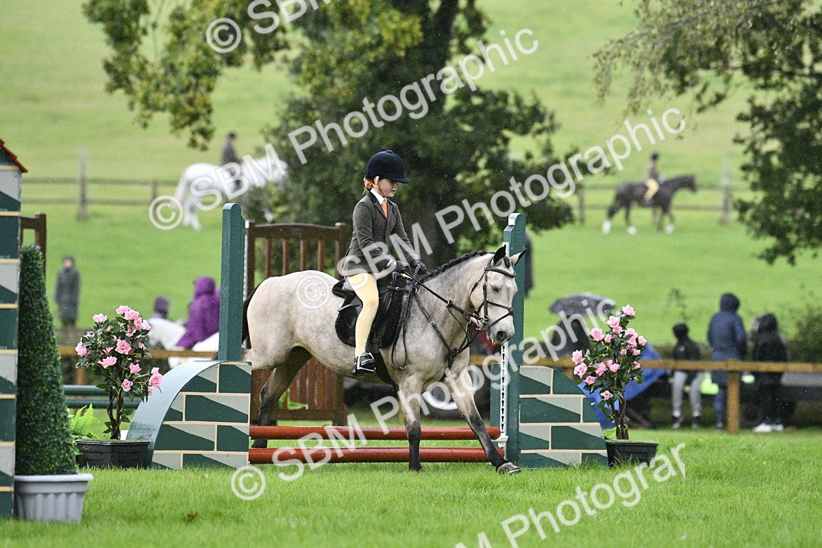 SBM_35509 - S30 - Nursery Stakes Working Hunter Pony