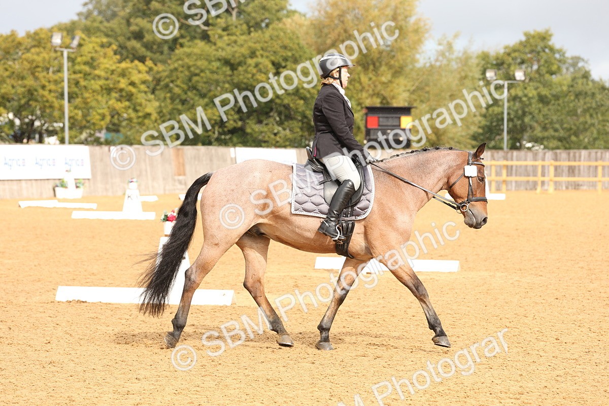 SBM_40590 - D6 - Small Tour Championship Intro 4