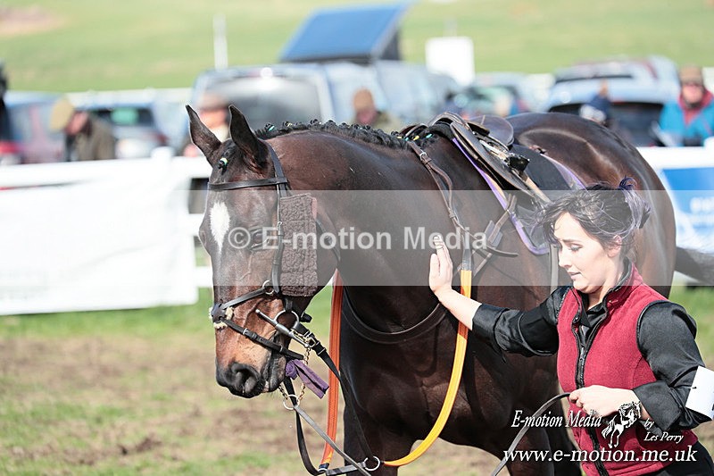 PtP 230324 225 - Tedworth Hunt PtP Larkhill Raccourse 23rd March 2024