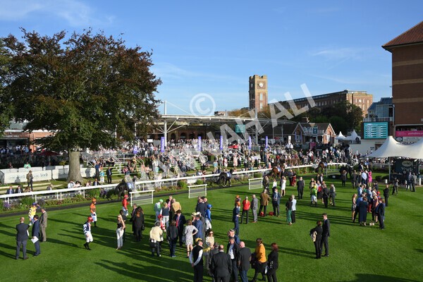yr08102021r5-3 - Race 5 4.20pm Copper Knight - Winning Most Horse At York Handicap