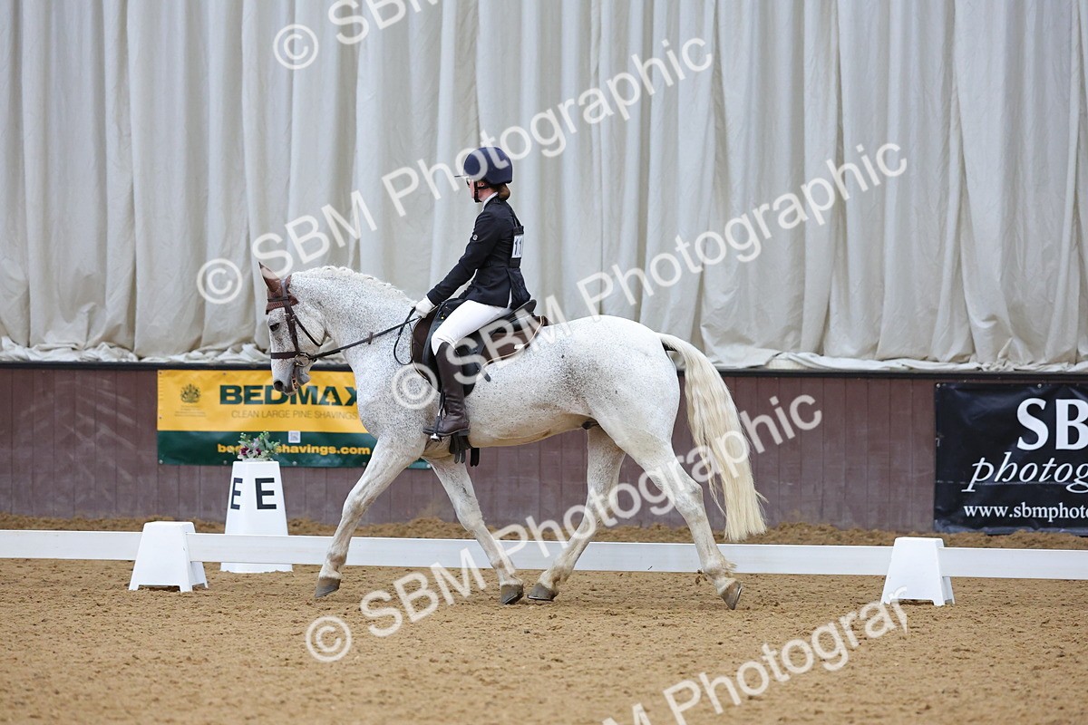 SBM_002981 - Novice