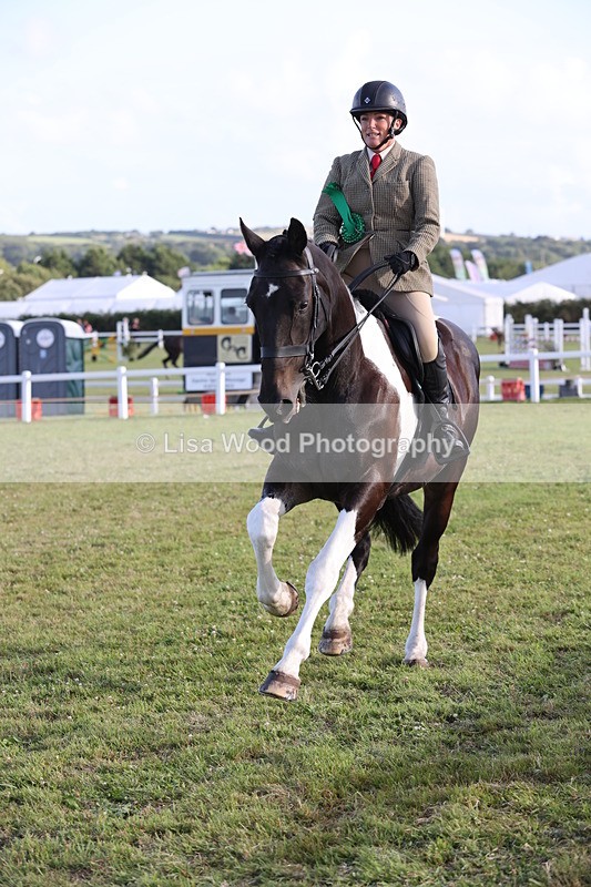 JPP_3597 - Class 22: Working Hunter 90cm