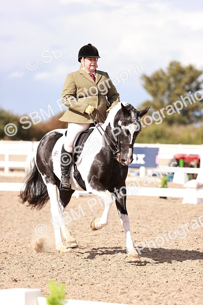 SBM_06616 - Class 39 - Medium 3