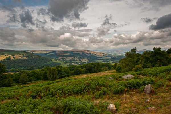  - Landscape