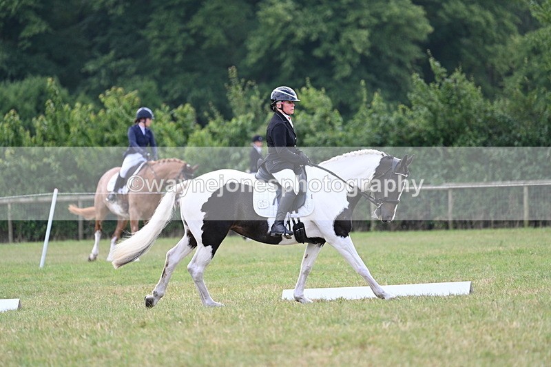 WJ7_5270 - Time 11:22 to 11:51