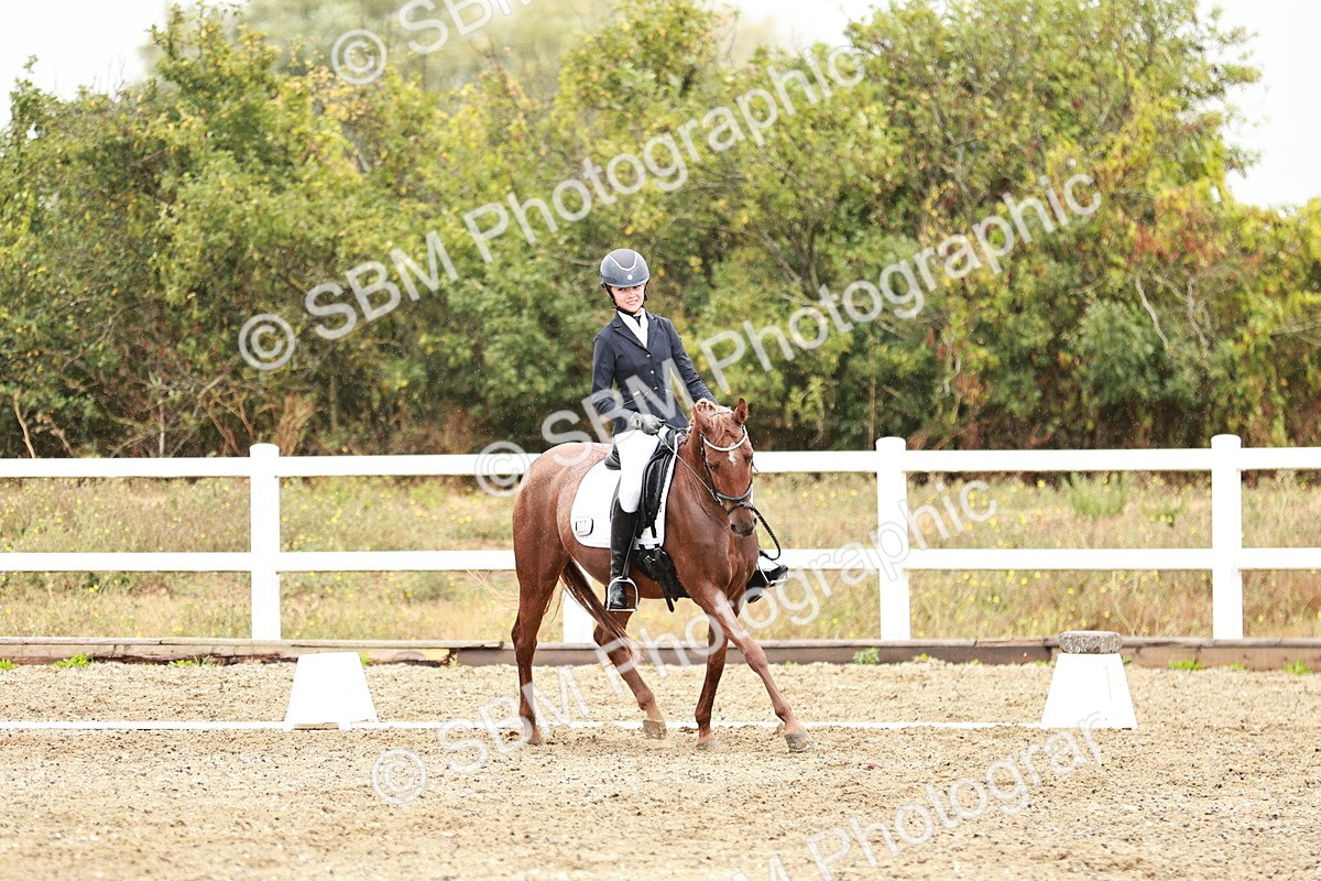 SBM_003954