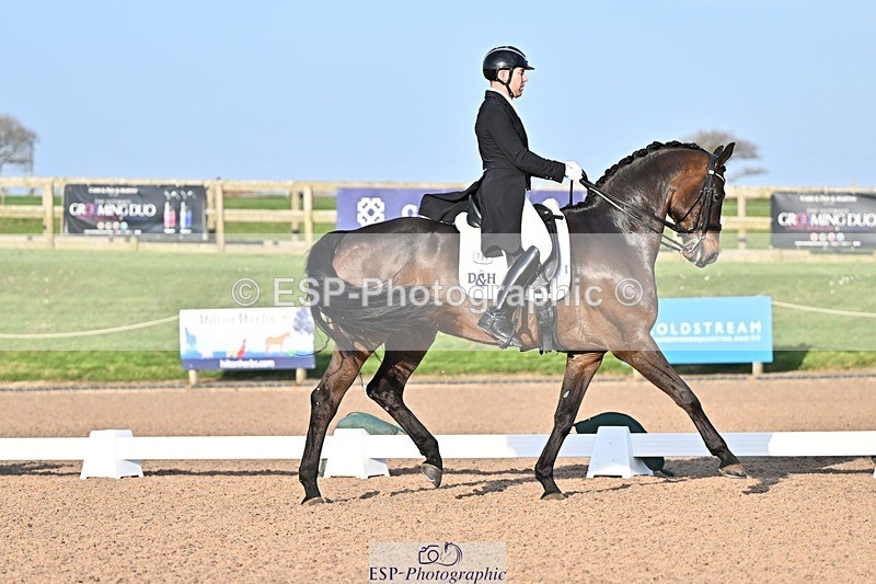 250404-181121-08560 - 159-Darren.Hicks-Tramontana.Tiger.Feet