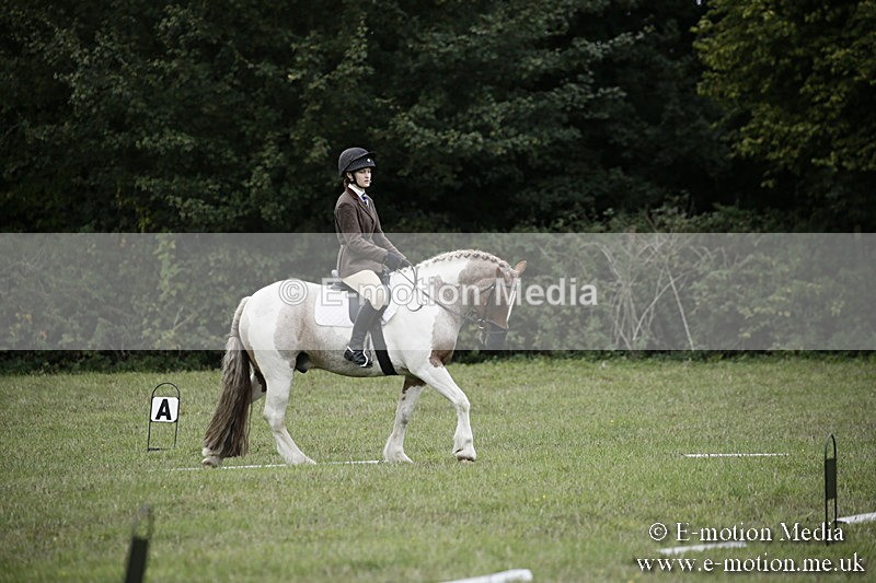 BVR080918 18 - BVRC Novice Dressage & CR 08/09/18