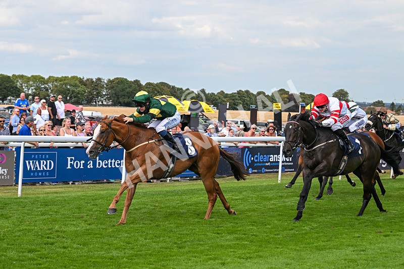 130825-Race 4-Rock Of England-1249 - Race 4