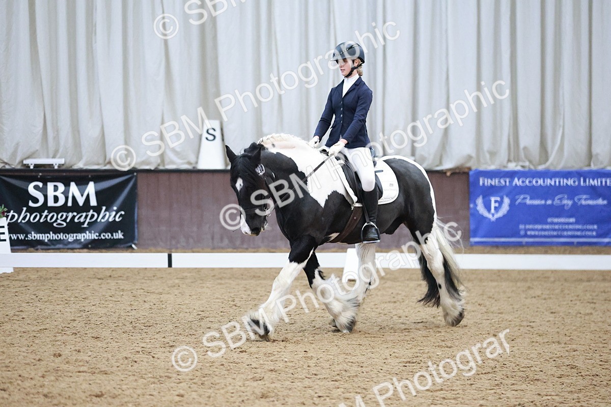 SBM_004569 - Ring 3 - International -  Working Hunter Classes 23-2-25