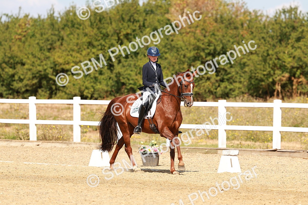SBM_018325 - Class 9 - N5 Bronze 11.57.13.07
