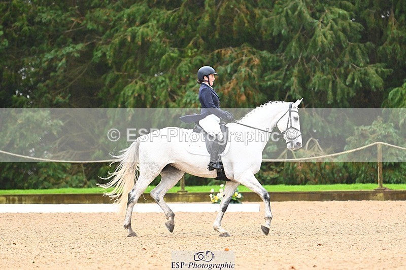 231021-103418-14483 - 230-CHOBELLA-Freddie.Taylor-DR