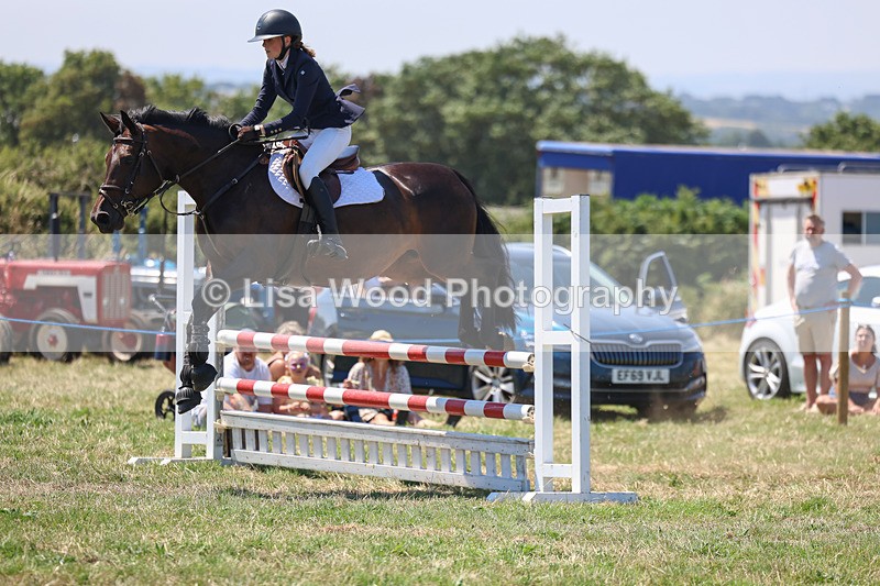 3E7A4459 - Class 10: Senior British Novice/90cm open