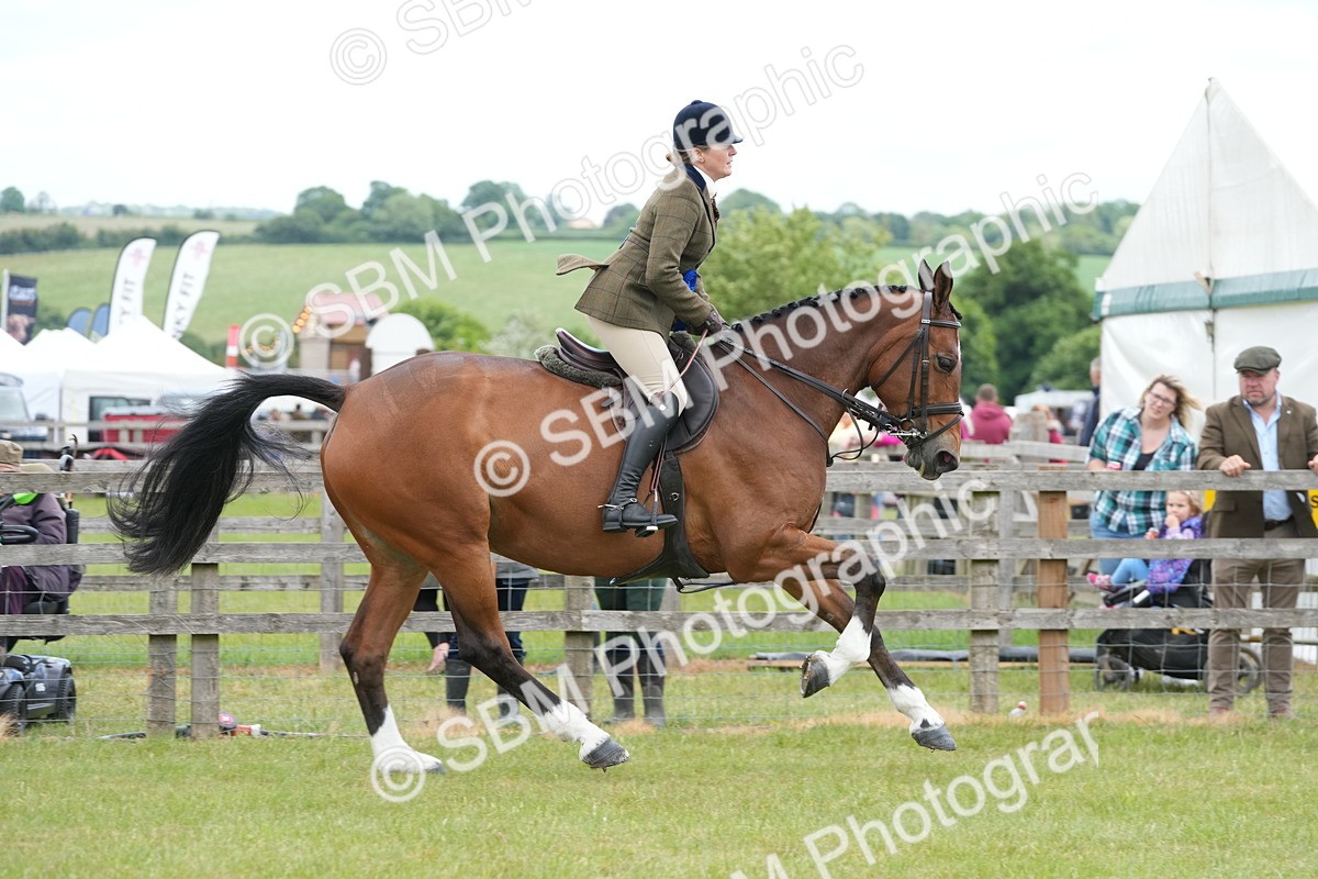 SBM_00014 - Class 100-102 - RIHS Working Hunter