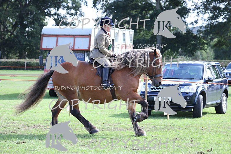 APP_3776 - Class 8 Ridden Class