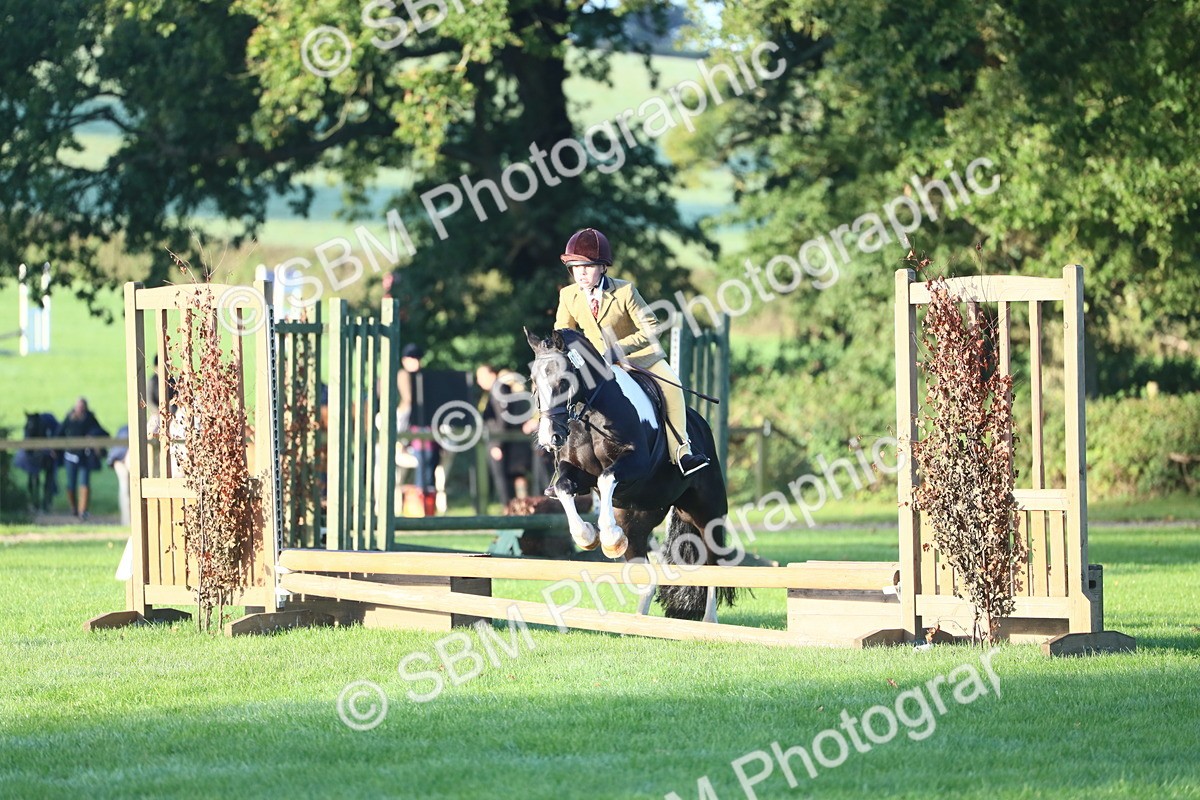 SBM_37183 - S29 - Novice & Newcomers Working Hunter Pony