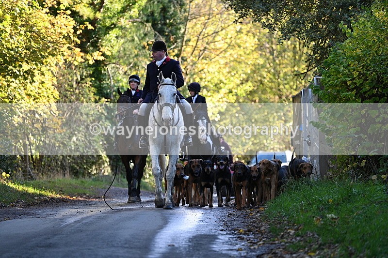 WJ7_8607 - Walk Home