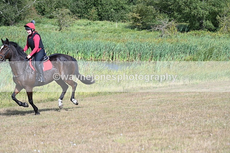 WJ7_3538 - Time 10:15 to 10:26