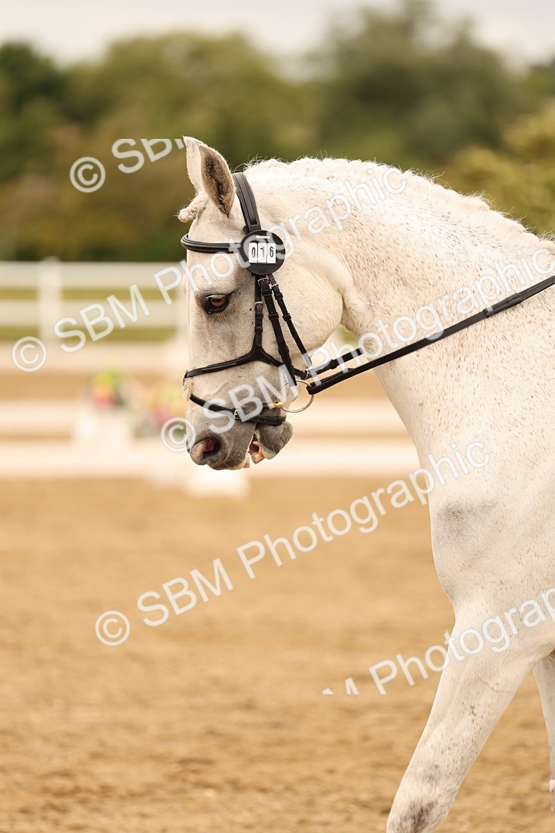 SBM_004446 - Class 6a - Novice 5 - 14.48-16.40