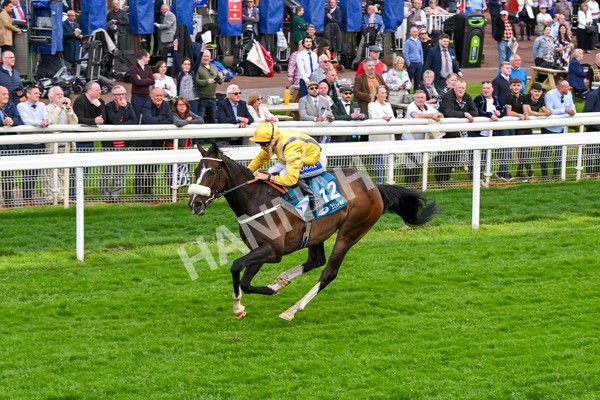 150524-Race 7-Dancing In Paris-4742 - Race 7 5.20pm Stuey Weston & Friends Getting Out Handicap