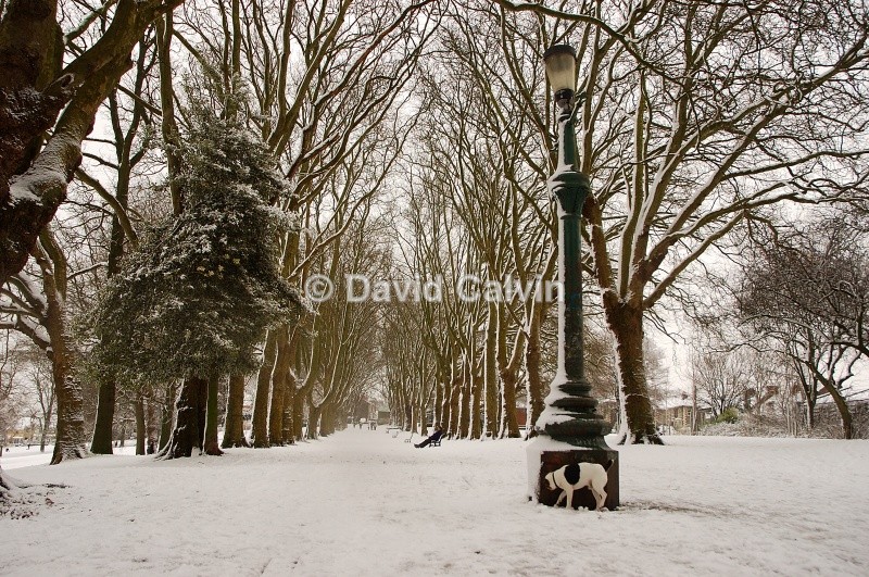 St George Park in the Winter 1 - Winter