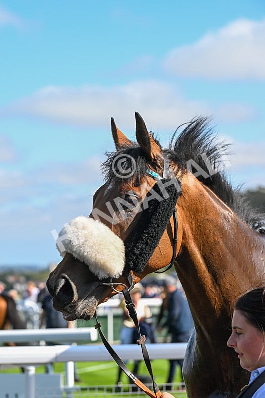 180924-Race 1-Tees George-3766 - Race 1