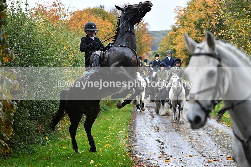 WJ5_6281 - B&B walk back for Hunt Tea !