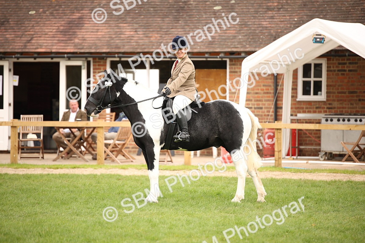 SBM_72393 - S67 - Show Cob Ridden