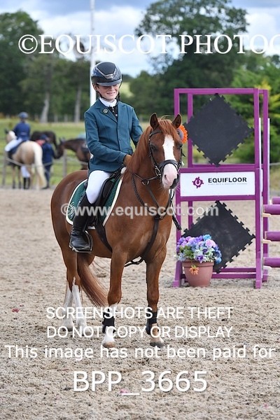 BPP_3665 - CLASS 4 SAT Pony British Novice / 0.80m Open