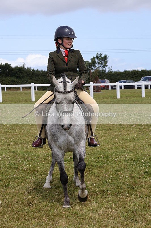 1X9A4119 - Class 32: Show Hunter Pony 153cm and under
