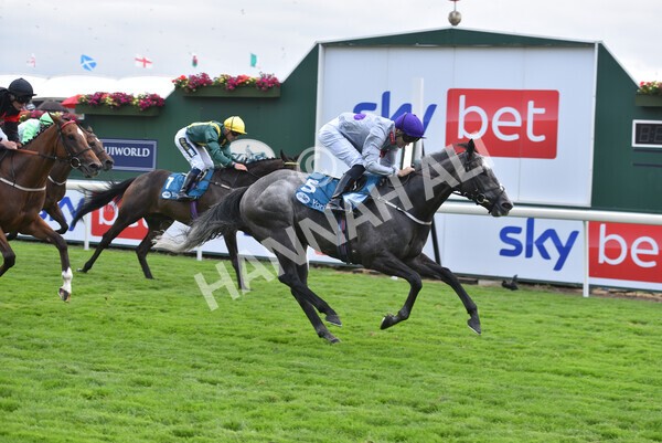 yr23072022r6-37 - Race 6 5.00pm Sky Bet Partnership with Support Dogs Stakes