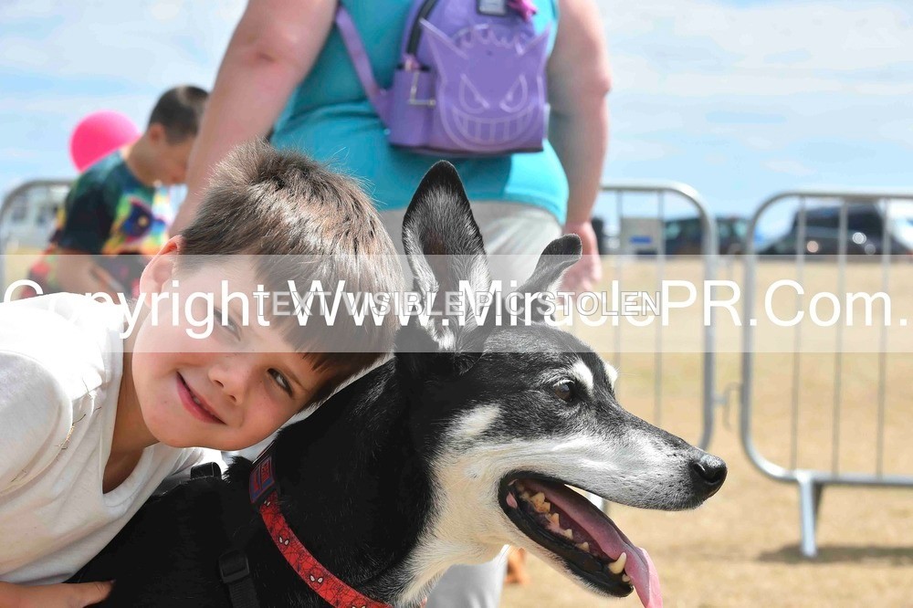 SH4_0110 - Dog show.