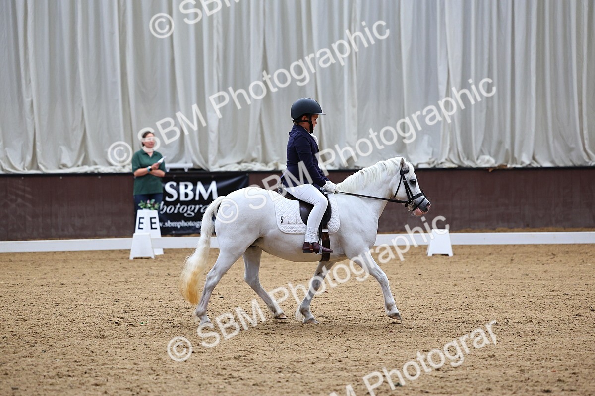 SBM_003445 - Intro 2