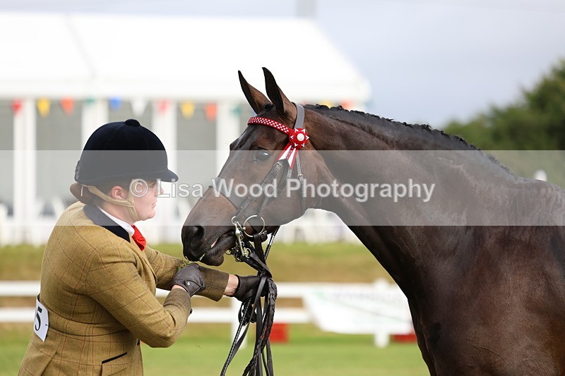 3E7A7907 - Class 1: Rising Star Small Hack/Riding Horses