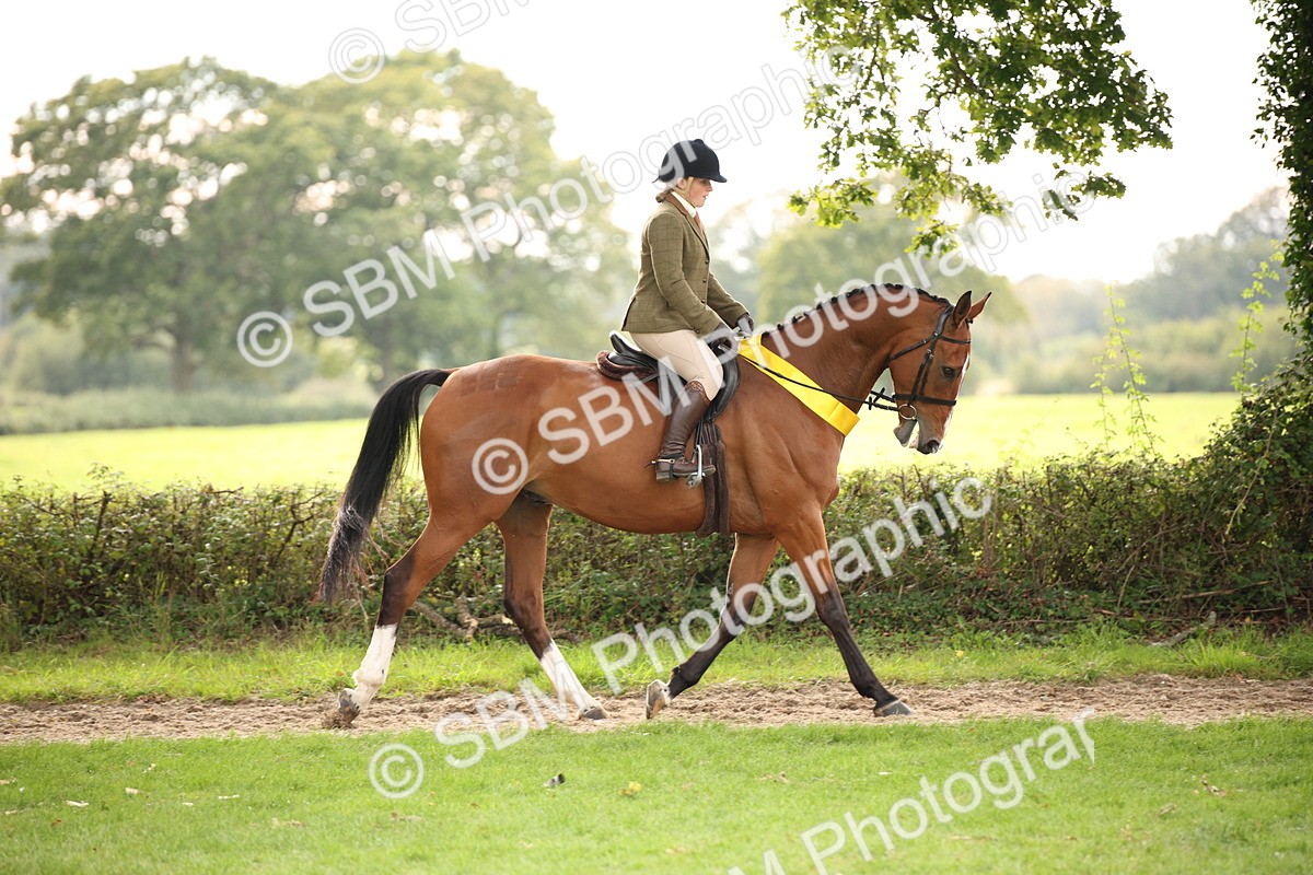 SBM_73615 - Ridden Horse Supreme Championship