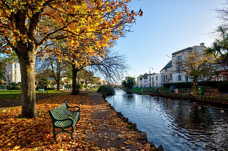 DW36 - Autumn colours at Dawlish Brook - Greetings Cards Dawlish