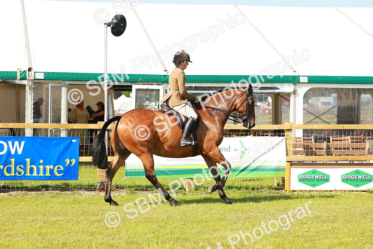SBM_12039 - Class 66-69 - RIHS Ridden Hunters Inc Small Hunter