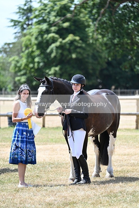 WJ7_2037 - Class 4a Prettiest Mare 14.2hh and over hand