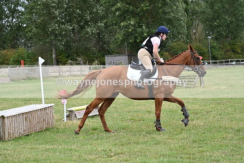 WJ7_4955 - All of 80cm