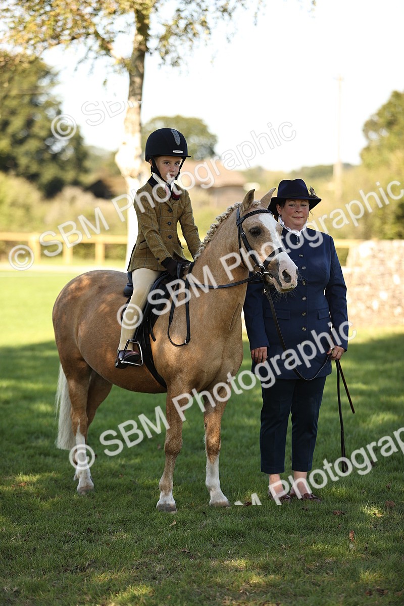 SBM_19241 - S3 - TSR Ridden Pony Showing