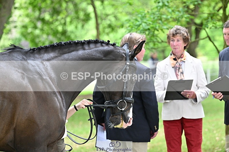 250521A-144733-00243 - A-060-Sophie.Wildern-CARTOON.HERO