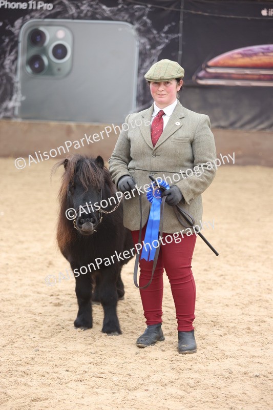 20251109-0349 - Class 13 - Mares 4 Years and Over