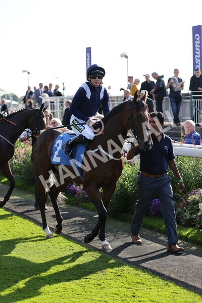 yr08102021r1-5 - Race 1 2.05pm Parsonage Hotel and Cloisters Spa Nursery Handicap