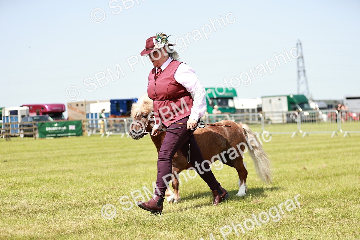 SBM_02005 - Class 14-23 - Mountain & Moorland In Hand Non Welsh