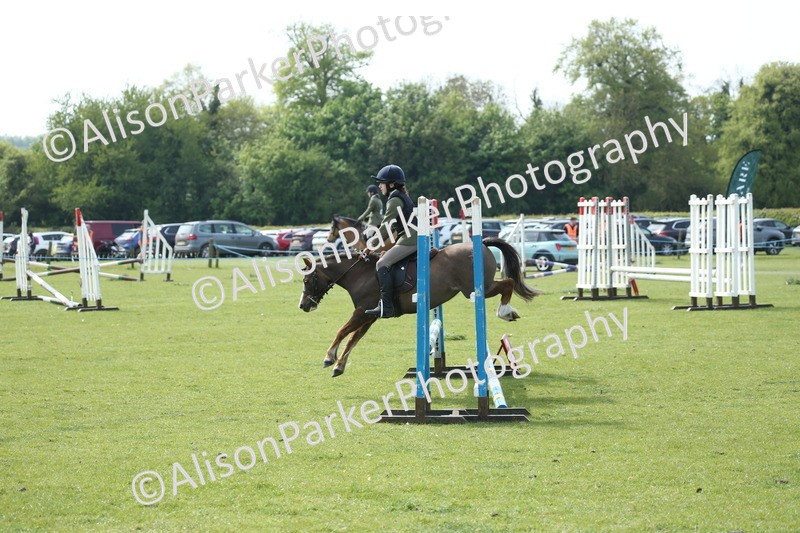 20260426-1696 - Class 14 - Novice 60cm