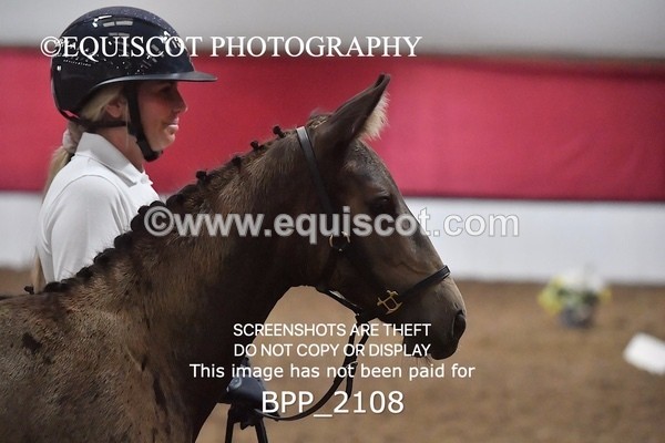 BPP_2108 - AFTERNOON 12.30 - 3.30PM