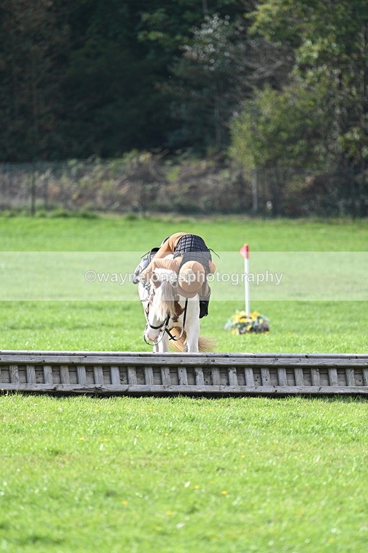 WJ7_3962 - 40cm Time 10:26 to 10:42