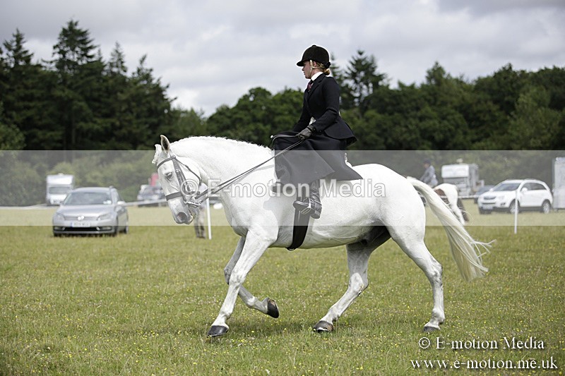 BVR160717-1962 - Side Saddle Classes 16/07/17