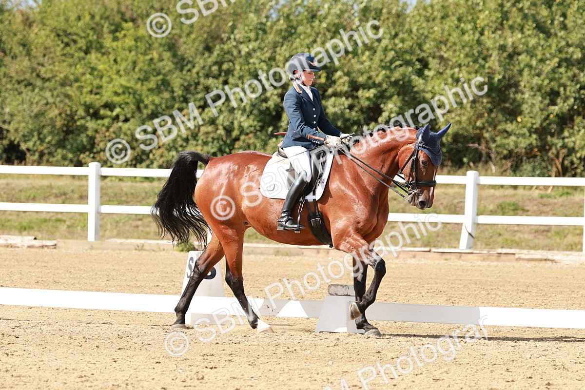 SBM_002515 - Class 11 - Medium 6